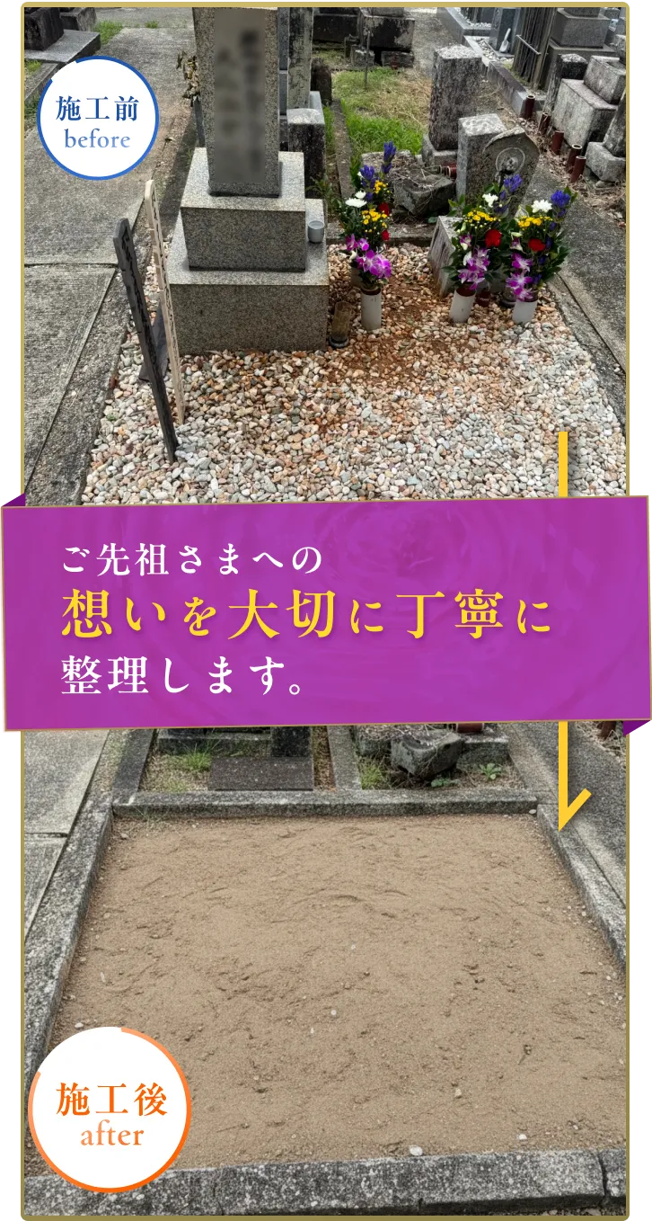 ビフォーアフター画像SP